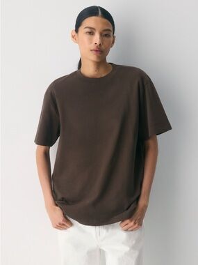 Aritzia Pegasus T-Shirt